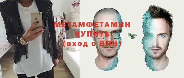 сатива Покачи