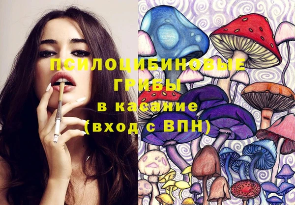 apvp Алзамай