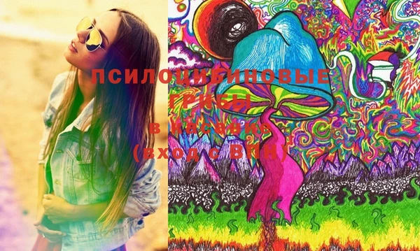 круглые Абаза